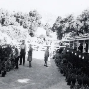 Plant Sale