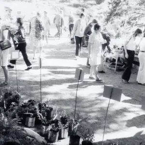 Plant Sale