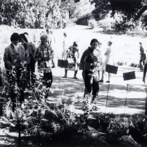 Plant Sale