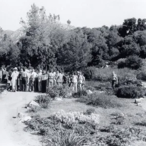 Plant Sale
