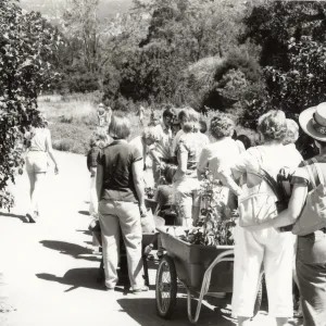 Spring Plant Sale