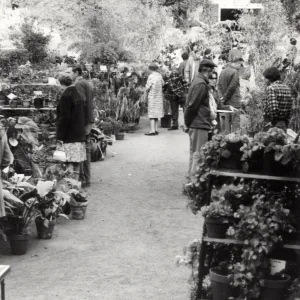 Plant Sale