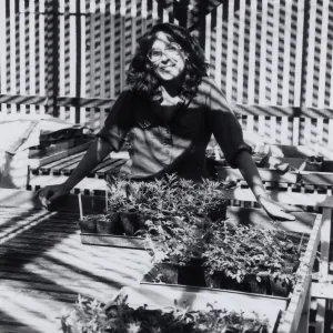 Carol Bornstein