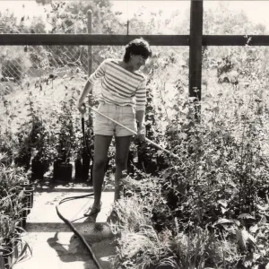 Carol Bornstein, Plant Propagator