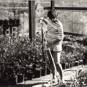 Carol Bornstein