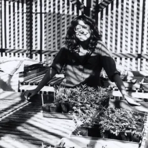 Carol Bornstein