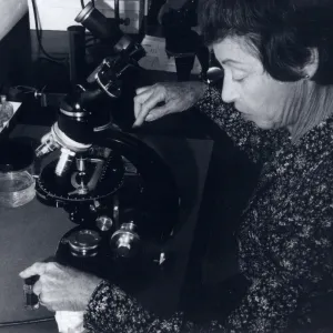 Marta Walters