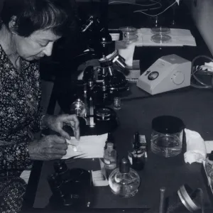 Marta Walters
