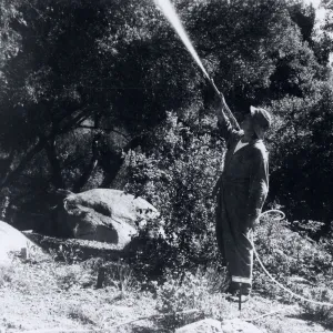 Bruce Van Dyke using his heavy power sprayer to treat the oaks around the Meadow, Ceanothus and Arroyo Sections for oak moth caterpillar infestation