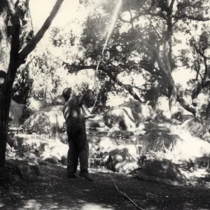 Bruce Van Dyke using his heavy power sprayer to treat the oaks around the Meadow, Ceanothus and Arroyo Sections for oak moth caterpillar infestation