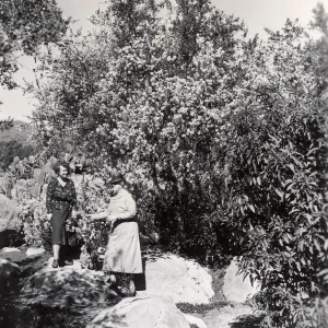 SBBG Board Members: Lester Rowntree, Mrs. Oakleigh Thorne