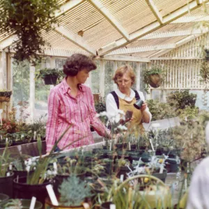 Volunteers - Garden Growers, Blair Gray, Ann Eldridge