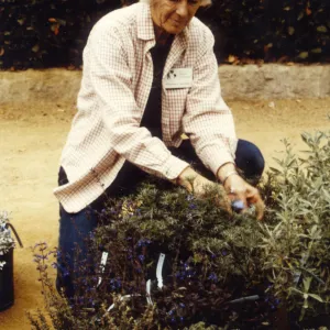Volunteers - Garden Growers, Rosemary Maxfield, MG, plant sale, Spring â€˜94 IQ
