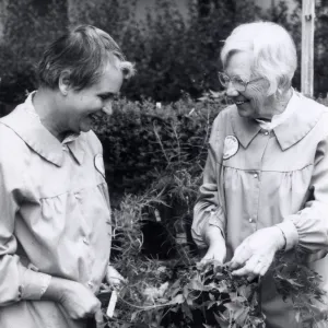 Volunteers - Garden Growers, Garden Growers Lila Sexton and â€œStevieâ€ Service prepare plants for annual plant sale