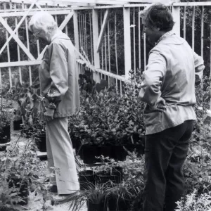 Volunteers - Garden Growers, Garden Growers Lila Sexton and â€œStevieâ€ Service prepare plants for annual plant sale