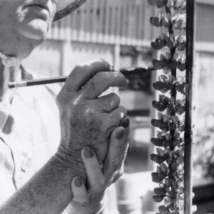 Insect Pollinators, Pollinating, 1958