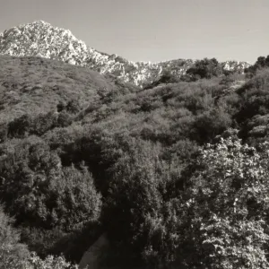 Mission Canyon: Tunnel Trail, spine up to Arlington Peak, Mission Canyon above SBBG