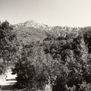 Mission Canyon: Tunnel Trail, spine up to Arlington Peak, Mission Canyon above SBBG