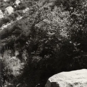 Mission Canyon