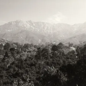 Black and white aeriel photograph of forest with buildings and mountain line in the distance.