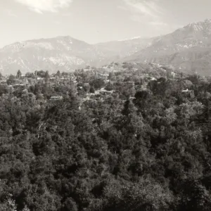 Black and white aeriel photograph of forest with buildings and mountain line in the distance.