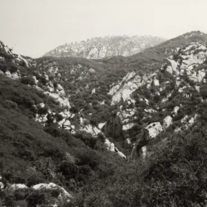 Black and white photograph with grass and bush covered hill side.