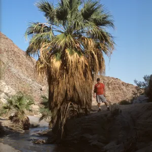 Tony with palm