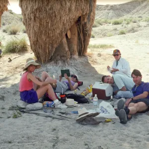 Anza-Borrego 17 Palms