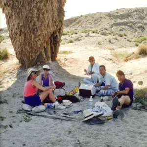 Anza-Borrego Desert State Park, 17 Palms