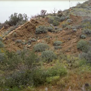 Rock 'Wall'