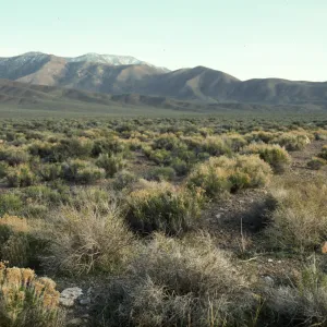 Death Valley National Park, Aguerreberryi Pt.