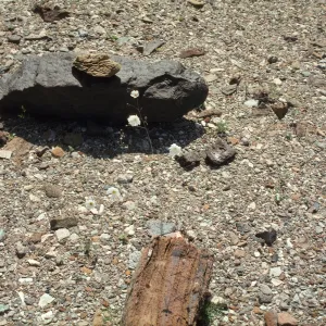 Death Valley National Park