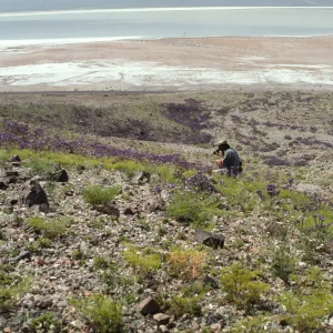 Slope above Badwater
