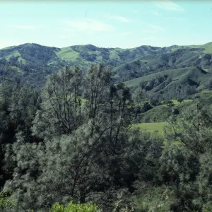 Foothill Woodland, Happy Canyon Road