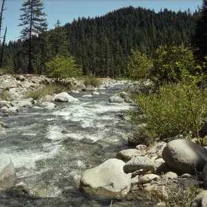 Trinity River