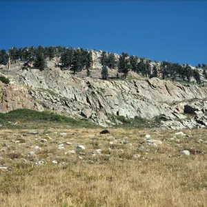 Mineral King