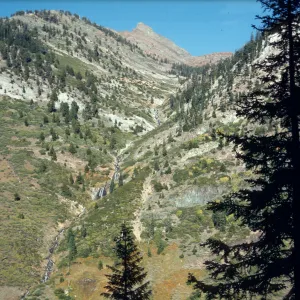 Mineral King