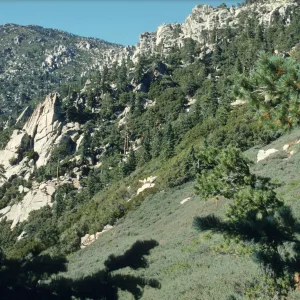 San Jacinto Mountains
