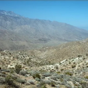 Panorama, Palm Canyon