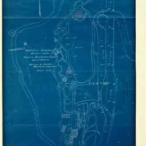 Lockwood de Forest drawing of Meadow area