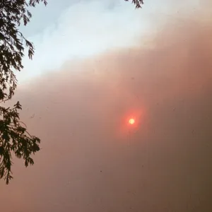 Coyote Fire, sun through the smoke
