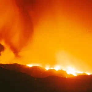 Coyote Fire