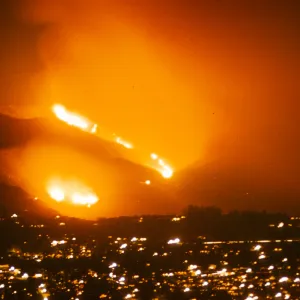 Coyote Fire