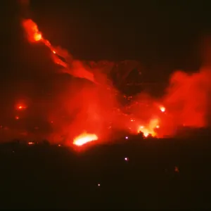 Coyote Fire
