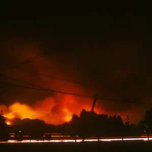 Coyote Fire