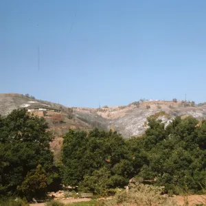 Coyote Fire aftermath - burned ridge west of Santa Barbara Botanic Garden