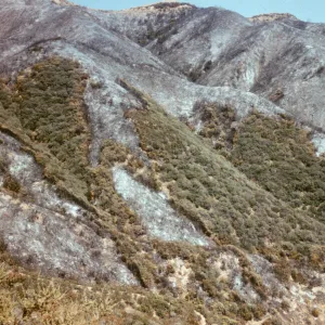 Coyote Fire burn on the Santa Ynez Mtns