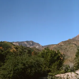 View of burned slopes of Santa Ynez Mountains after Coyote Fire from Garden