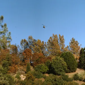 Helicopter seeding near Botanic Garden after Coyote Fire