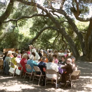 Approximately two dozen well-dressed people sit in folding chairs at 2 large tables set up in the shade of two large, split-trucked trees.